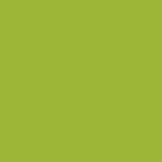 421 Apple Green - Folie termotransfer colorata CAD CUT Sportsfilm